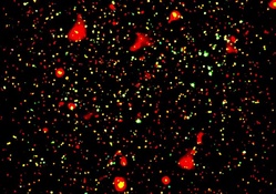 X_Ray View of Cosmos Field