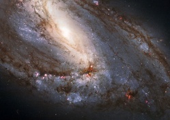 Large Spiral Galaxy