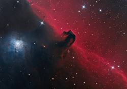 Horse head nebula