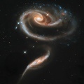 Rose Shaped Galaxy