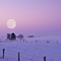 glorious moon over a rural winter scene