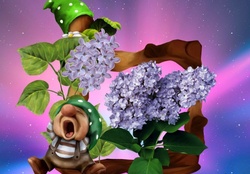 LILACS FOR VIVVY