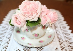 Pink Rose Tea Cup Still Life