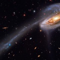 Bright Nebula in Starry Space