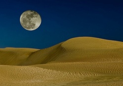 Full Moon on the Desert