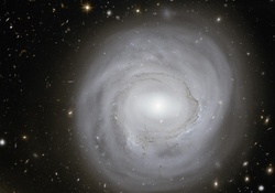 Hubble image of spiral galaxy NGC4921