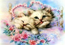 ..Cute Cat Nap..