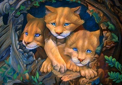 'Cougar Cubs'
