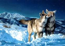 Wolves in Snow