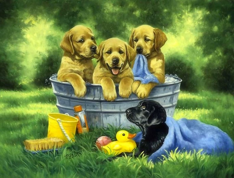 bathing_puppies.jpg