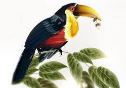 You Can Toucan