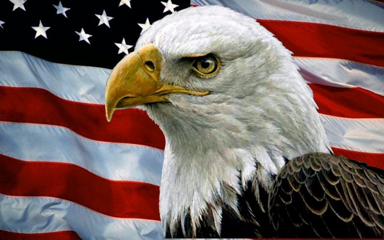 bald_eagle_and_usa_flag_f.jpg