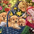 Basket of Puppies F2