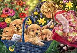 Basket of Puppies F2