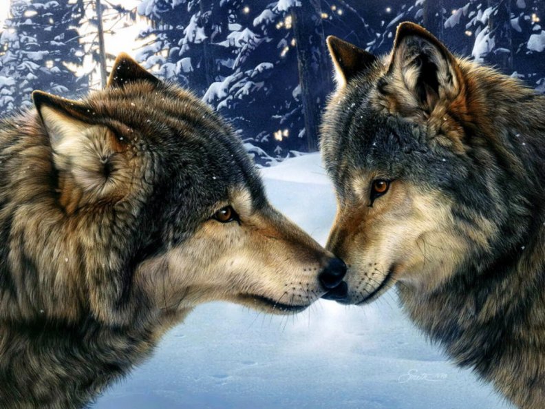 loving_wolves.jpg
