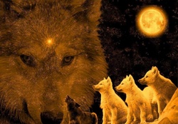 Wolves Spirits of the Moon
