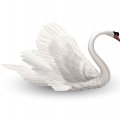 Swan So Gracious