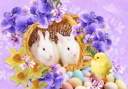White Easter Bunnies