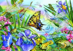 ★Butterfly &amp; Dragonfly Dances★