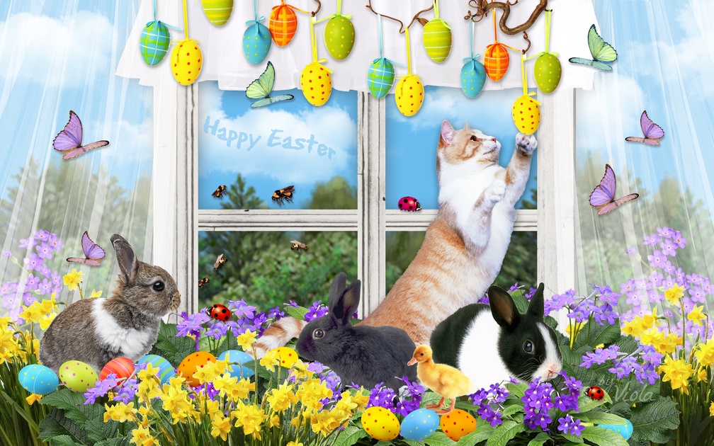 Easter Bunnies Window