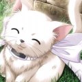 Anime kitty