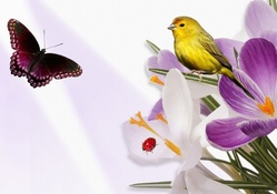 Ladybug and canary on purple flower