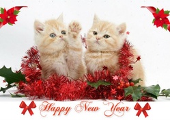 ~ ♥ღ Happy New Year ღ♥ ~