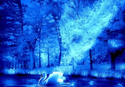 ★Blue Swan in Winter★