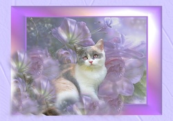 Pastel Kitten in Flowers