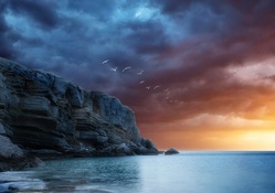 sea birds flying over cliffs in sunset hdr