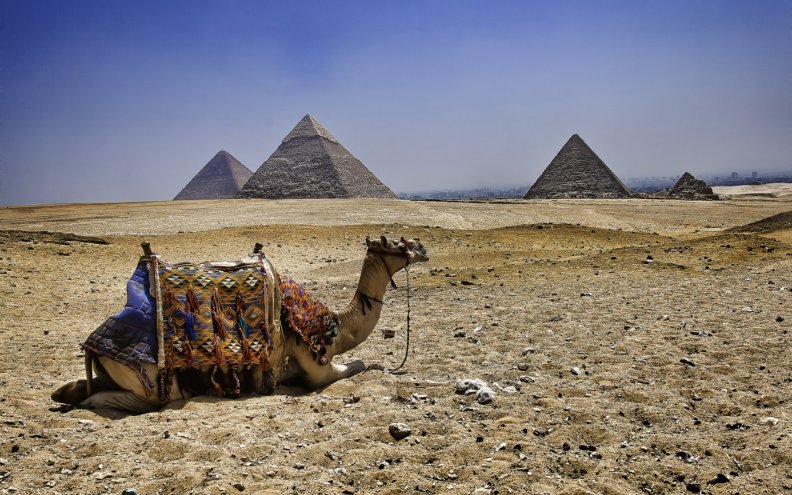 camel_and_pyramids.jpg