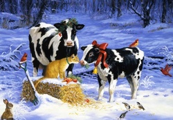 COWS FOR CHRISTMAS