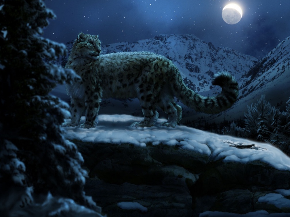 *Snow Leopard*