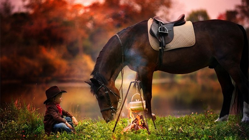 Little Cowboy and his Horse