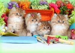 kittens gardening