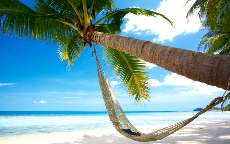 beach_hammock.jpg
