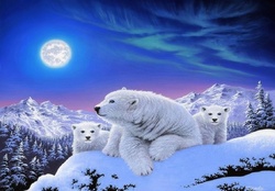 ✫Dreams of Polar Bears✫