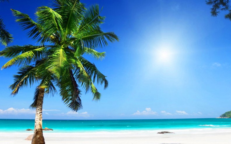 Paradise Sunny Beach