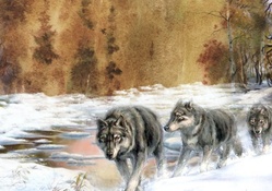 Early Winter Wolves