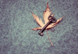Autumn's Key