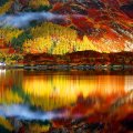Autumn reflections