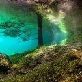 Green Lake Underwater World (5)