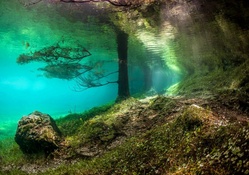 Green Lake Underwater World (5)