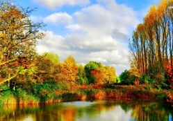 Autumn Forest Lake Reflection