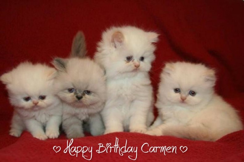 ♥ Happy Birthday Carmen ♥