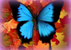 ✫Butterfly Fall on Friday✫