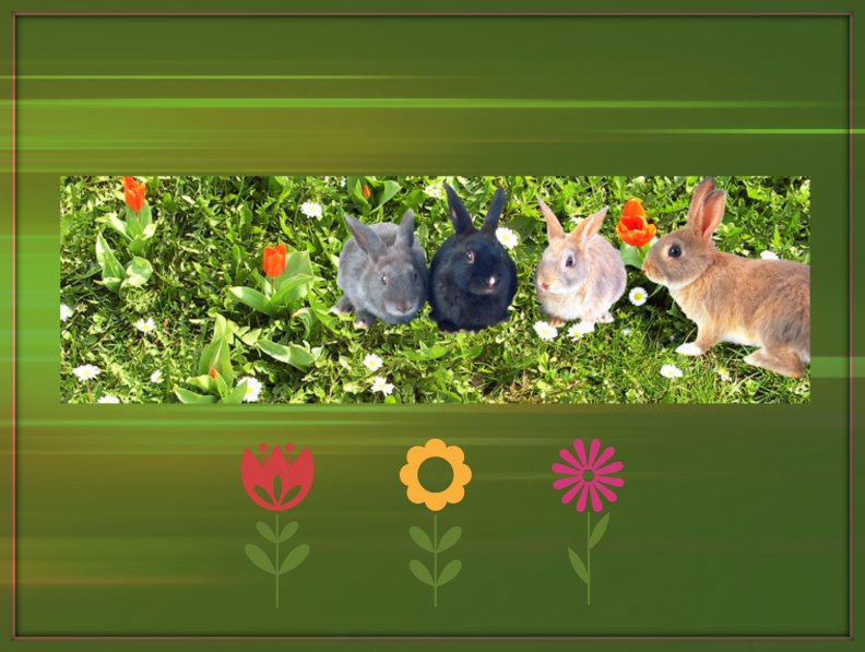 bunnies_for_karen_jandkk.jpg