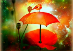 ★Little Bird on the Umbrella★