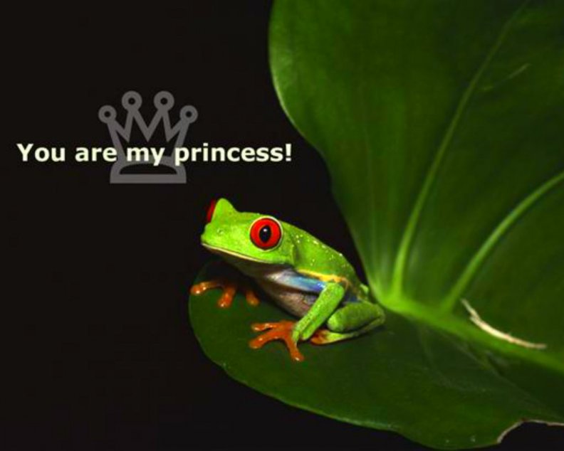 you_are_my_princess.jpg
