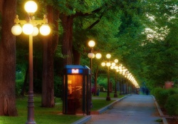 park alley in the evening